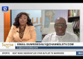 African Devt Activist Prof Anthony Chibo Reviews State Of The Nation +More